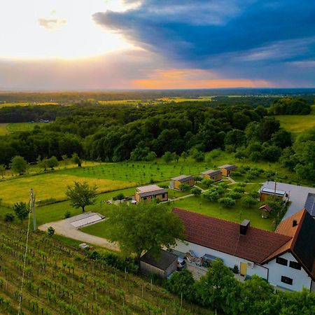 Vinea Panonika Wine & Mind Retreat Villa Radenci Luaran gambar