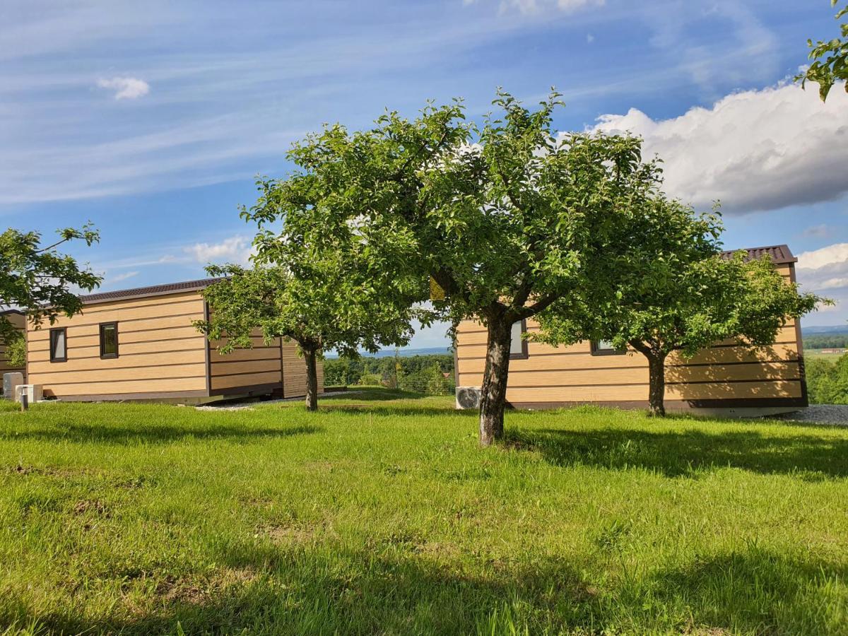 Vinea Panonika Wine & Mind Retreat Villa Radenci Luaran gambar
