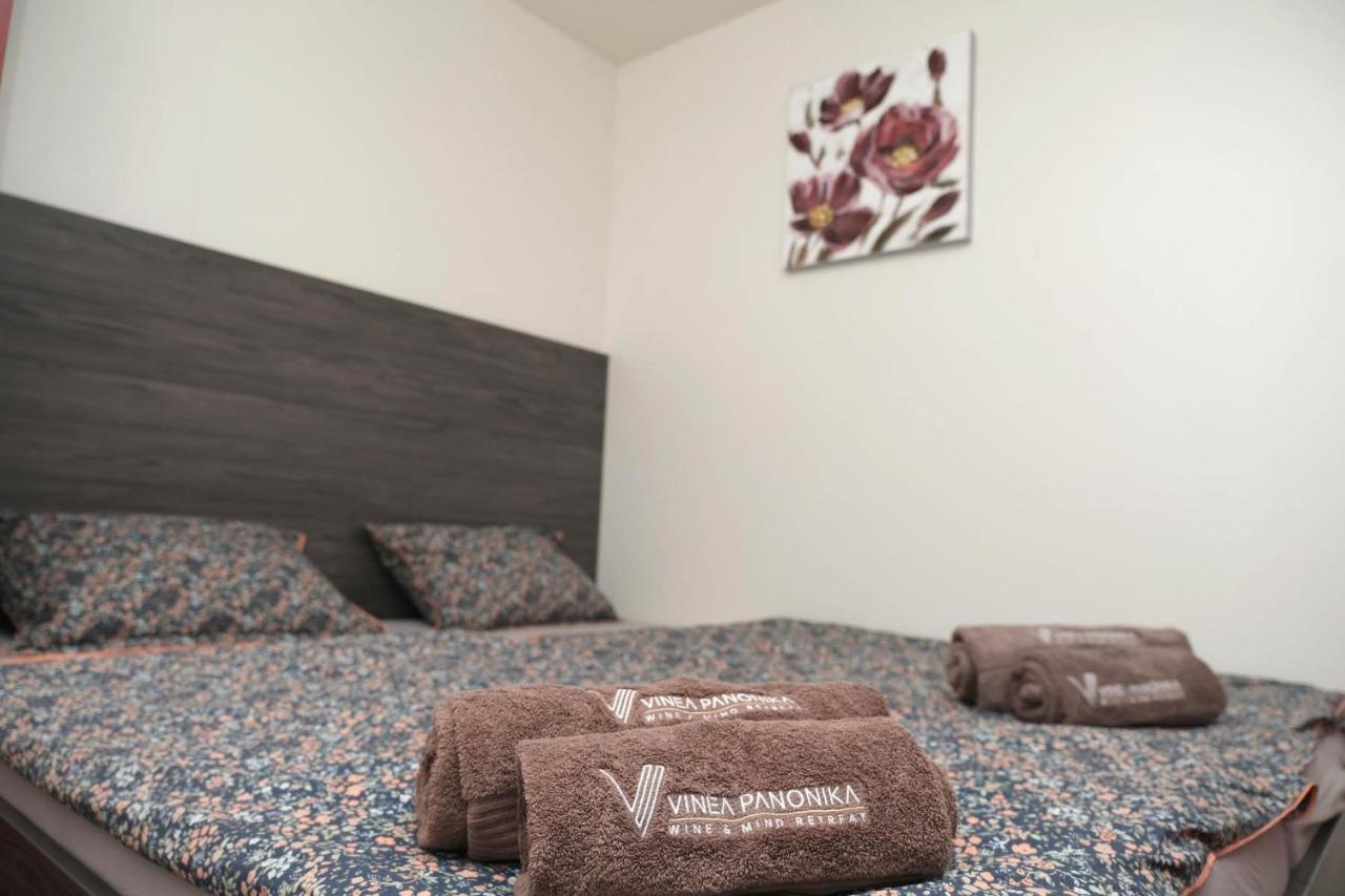 Vinea Panonika Wine & Mind Retreat Villa Radenci Luaran gambar