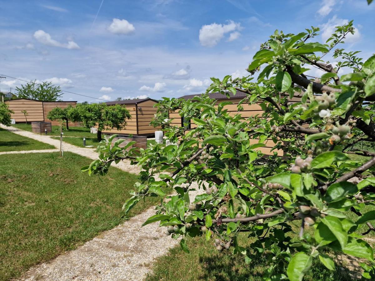 Vinea Panonika Wine & Mind Retreat Villa Radenci Luaran gambar