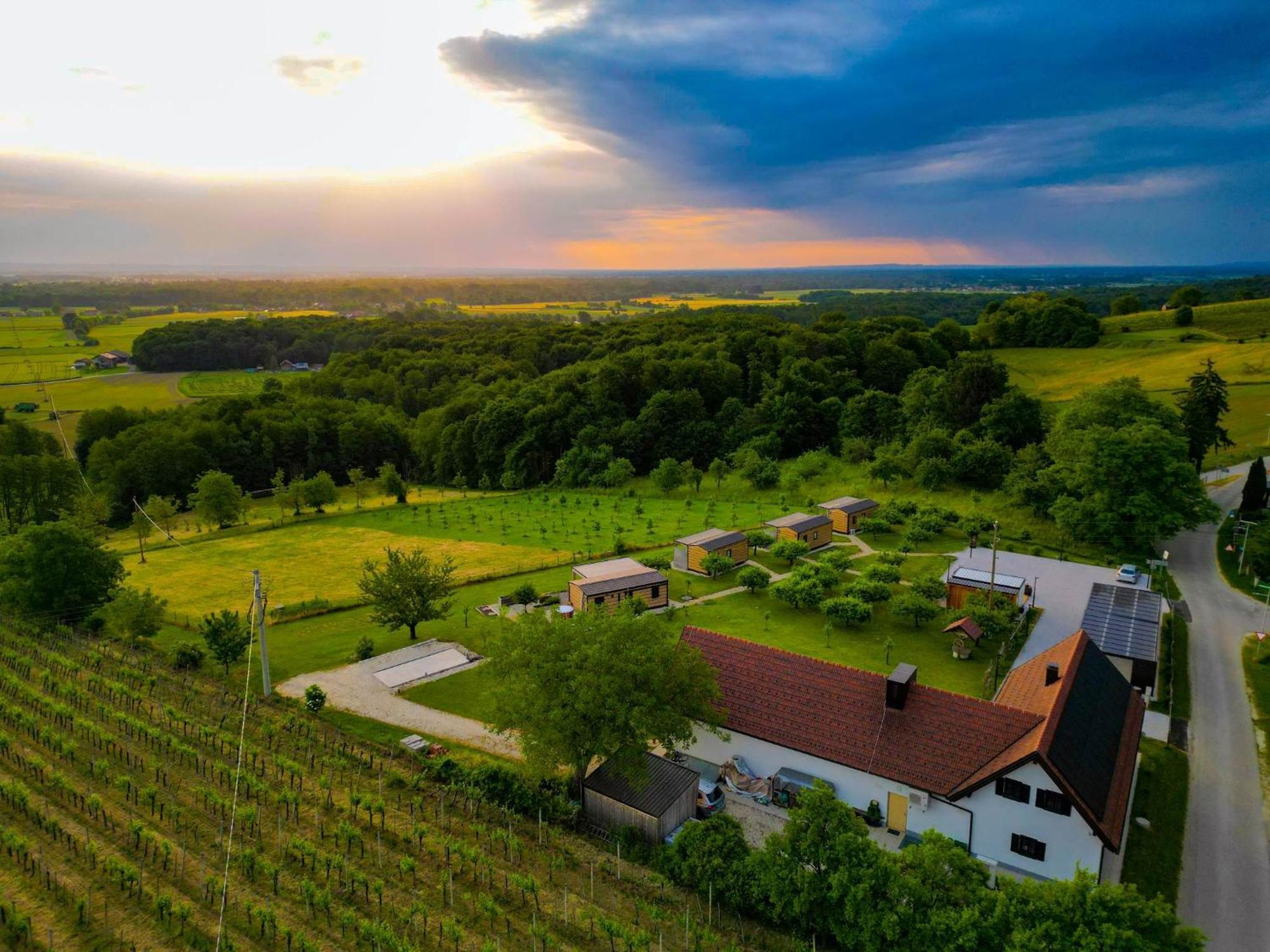 Vinea Panonika Wine & Mind Retreat Villa Radenci Luaran gambar