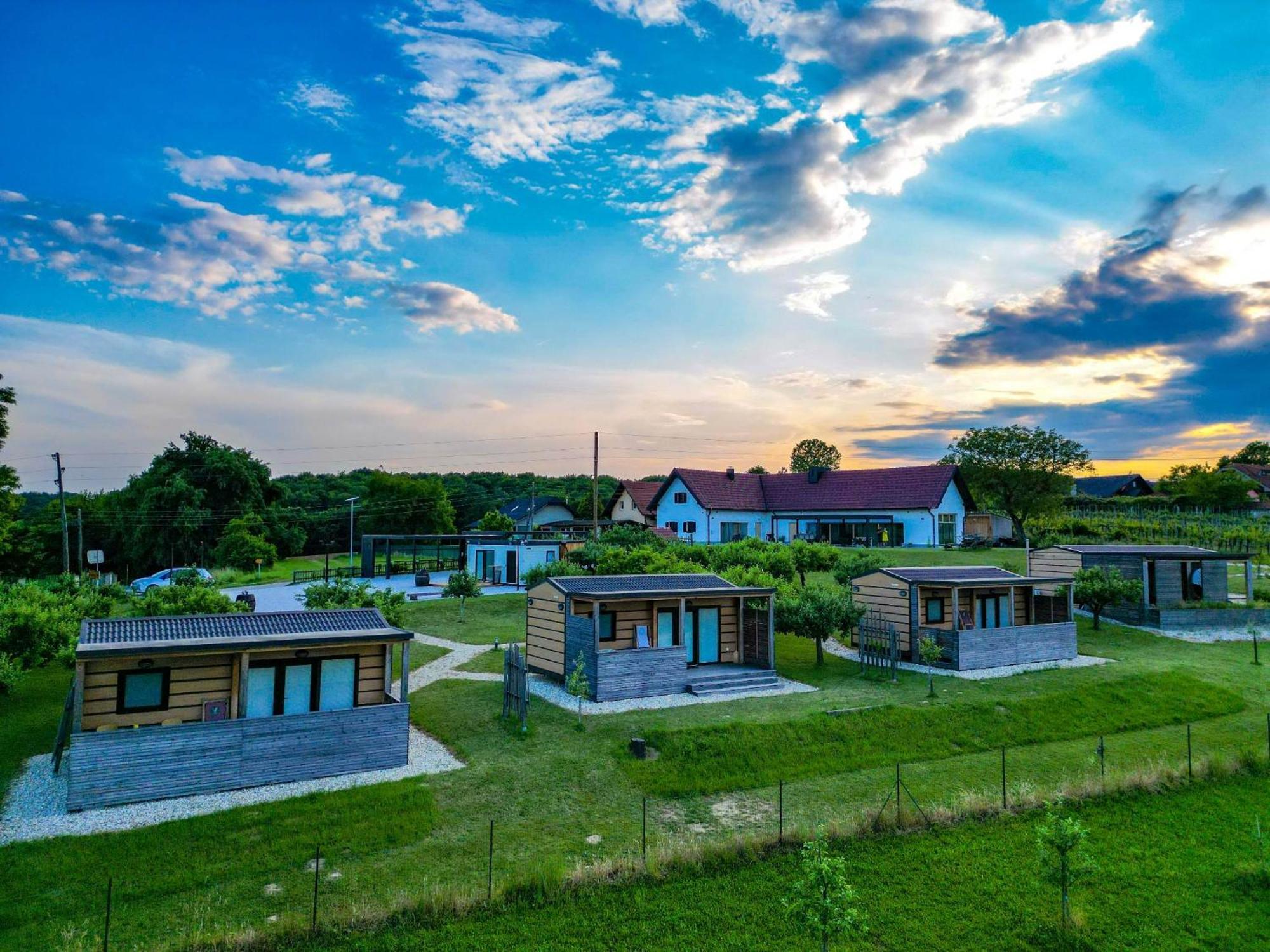 Vinea Panonika Wine & Mind Retreat Villa Radenci Luaran gambar